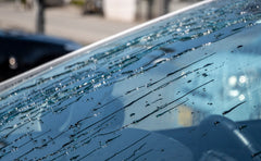 Exclusive Washer for Window Crystal